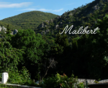 Centre de vacances à Malibert : retour sur un été riche en émotions et découvertes