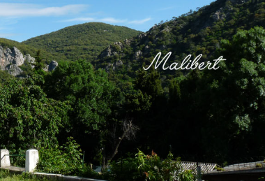 Centre de vacances à Malibert : retour sur un été riche en émotions et découvertes