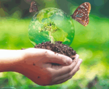 SEMINAIRE PEP ENVIRONNEMENT : un rendez-vos pour la planète