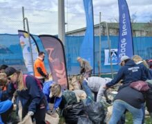 MECS LM : Environnement et nettoyage du territoire Bassin de Thau